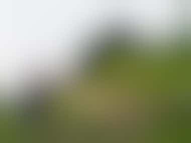 Auf der Schynigen Platte - Alphornbläser - ©Annette Weise