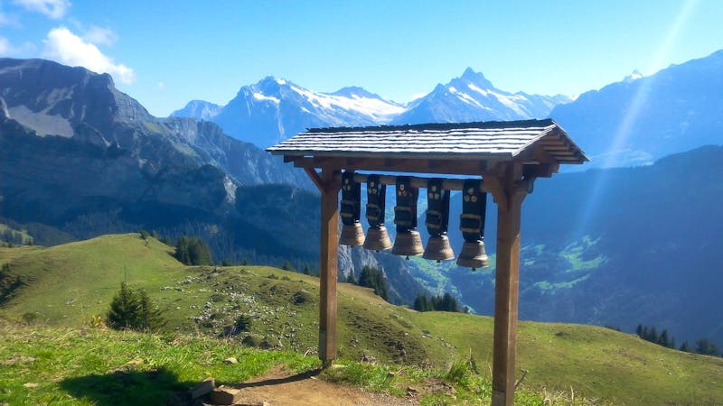 Mit dem Nostalgiezug auf die Schynige Platte - ©Gisela Gerlach
