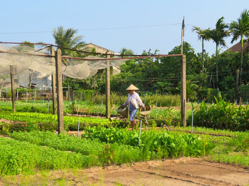 Bauernhof bei Hoi An - ©Madlen Häschel - Eberhardt TRAVEL