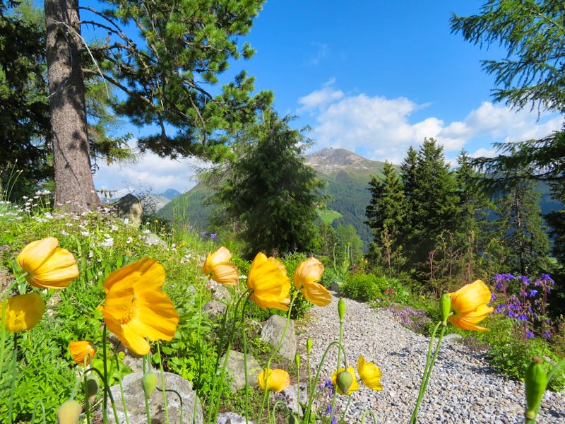 Blick von der Schatzalp zum Jakobshorn - ©Annette Weise - Eberhardt TRAVEL