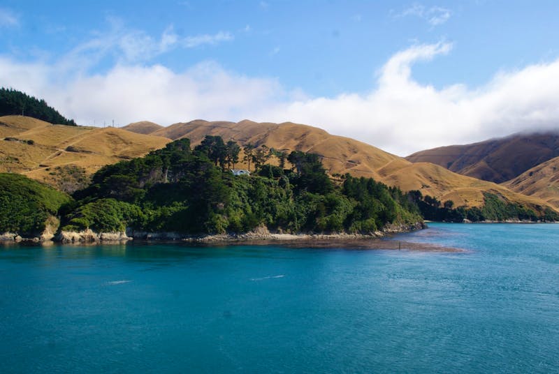 Cook Strait - ©Susanne Schirmann – Eberhardt TRAVEL