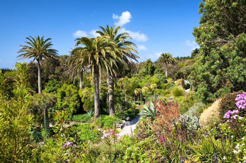 Abbey Gardens, Tresco - ©andrewmroland – Adobe Stock