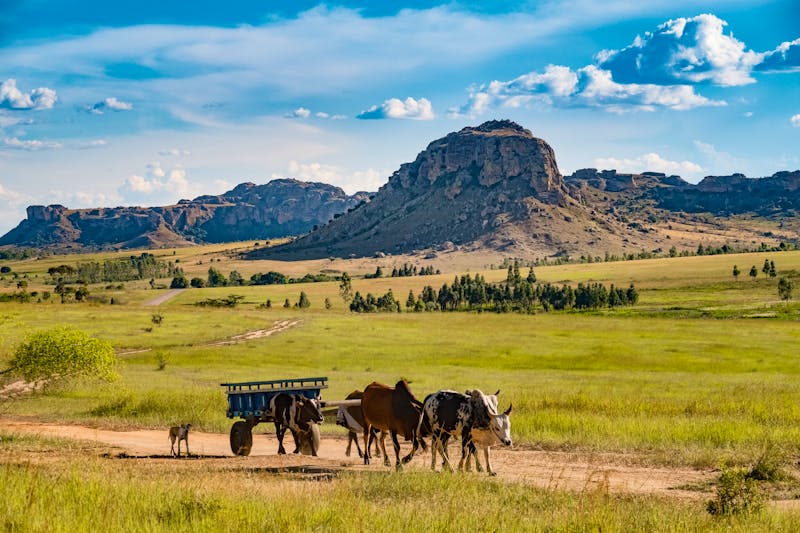 Isalo-Nationalpark - ©Luis – Adobe Stock