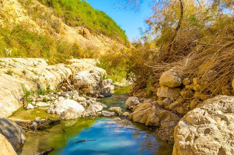 Ein Gedi - Nationalpark - ©efesenko - stock.adobe.com