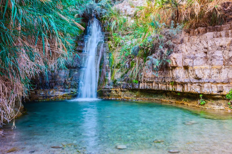 Ein Gedi - Nationalpark - ©Kushnirov Avraham - stock.adobe.com
