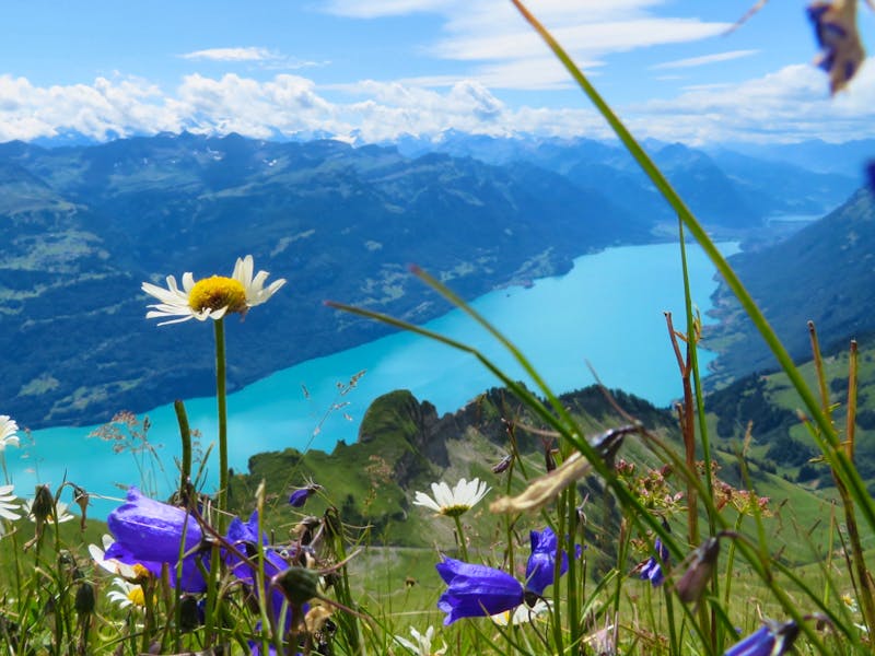 Auf dem Brienzer Rothorn - Blick zum Brienzersee - ©Annette Weise