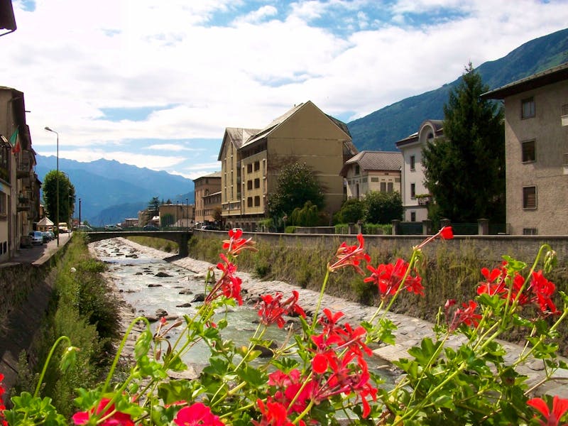Tirano - ©Steffen Mucke