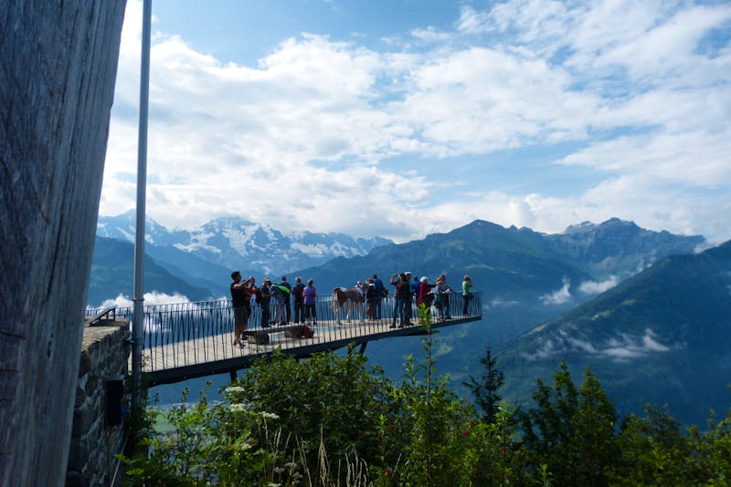 Hader Kulm - Blick in die Berner Alpen - ©Andreas Kunzmann
