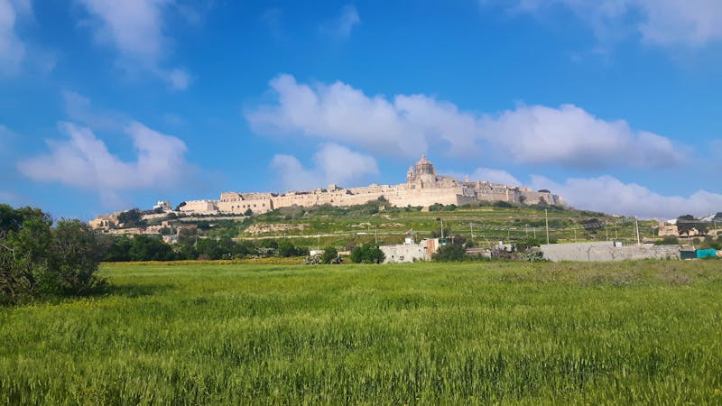 Blick auf Mdina - ©Matthias Makowski
