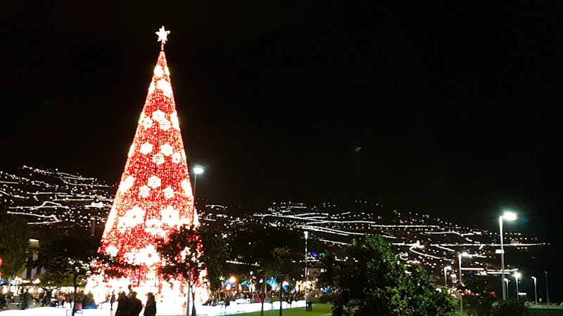 Nachtmarkt in Funchal - ©Kristina Hesse