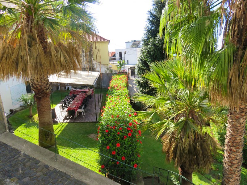 Funchal - in Joos Garten - ©Marion Kottlos