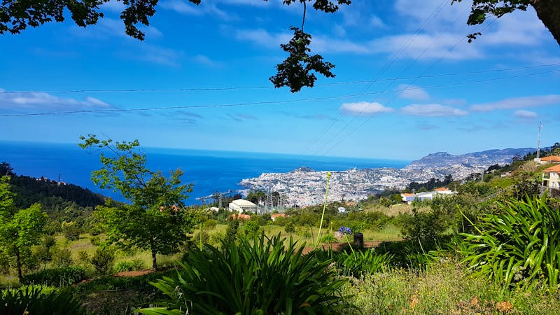 Funchal - Blick vom Palheiro Garden - ©Ria Heilmann