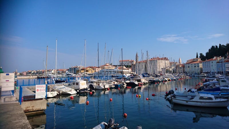 Hafen von Piran - ©Simone Willner