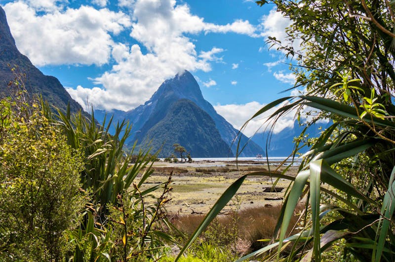 Fjordland Nationalpark auf der Südinsel von Neuseeland - &copy;Eberhardt TRAVEL - Anna Stiebing