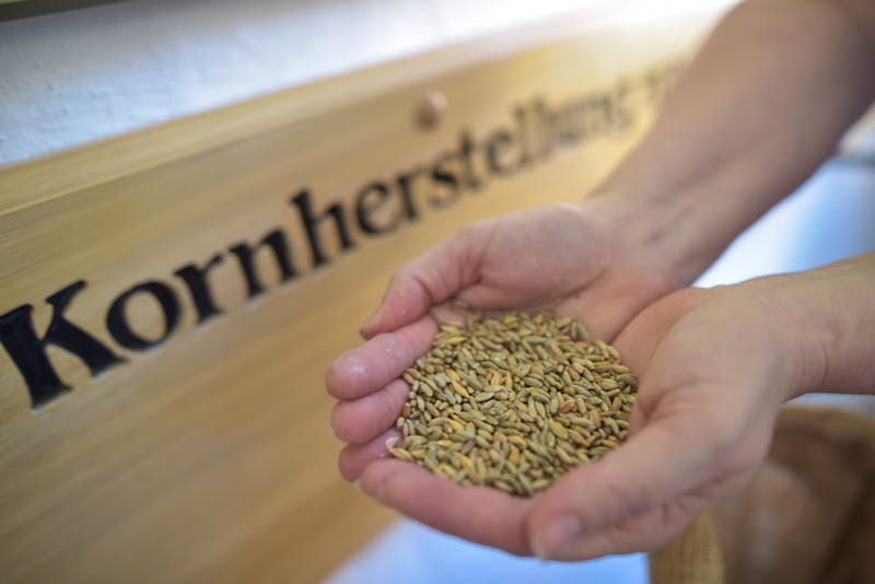 Nordhäusener Traditionsbrennerei - Kornherstellung - ©ECHTER NORDHÄUSER TRADITIONSBRENNEREI, NORDHAUSEN AM HARZ