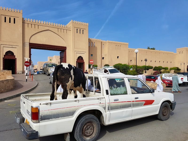 Nizwa - Viehmarkt - ©Jörg Nesse