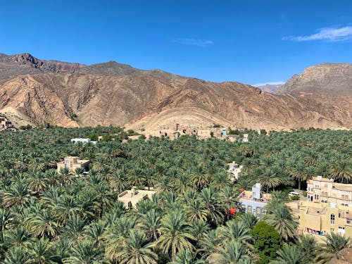 Birkat Al Mauz &ndash; &copy; Ralf Mehnert