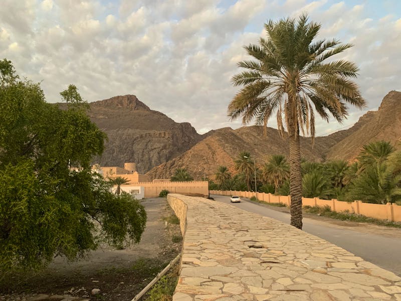 Birkat Al Mauz - ©Ralf Mehnert