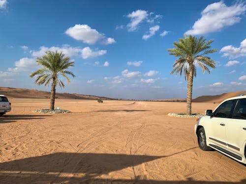 Wahiba Sands - Am Camp &ndash; &copy; Ralf Mehnert