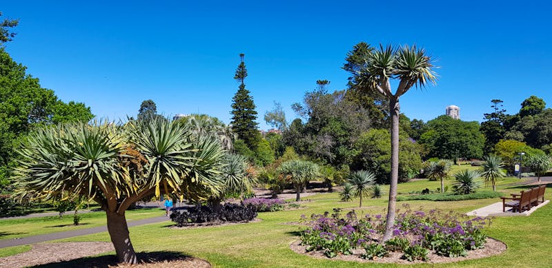  Botanischer Garten Sydney - ©Jacob Spangenberg