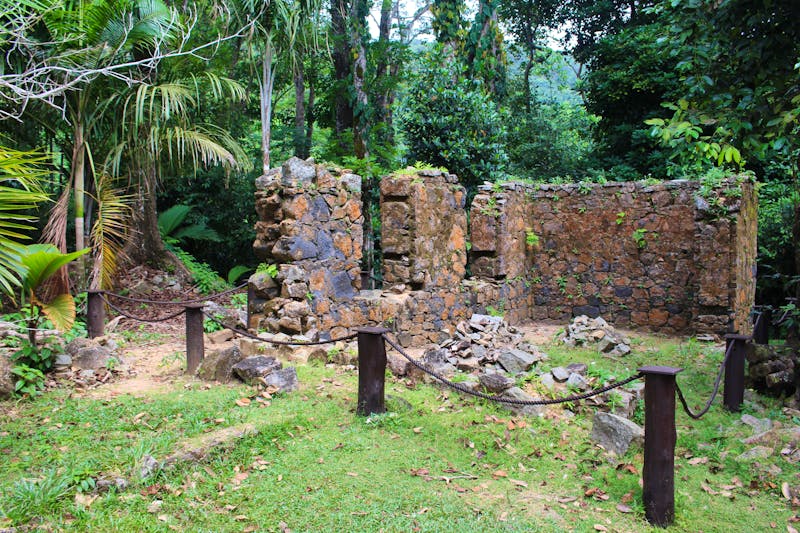 Ausflug zur Mission Lodge im Morne Sechelles Nationalpark - ©Claudia Schöpe - Eberhardt TRAVEL