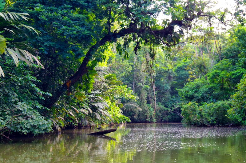 Tortuguero-Nationalpark - &copy;Astrid Fuhse