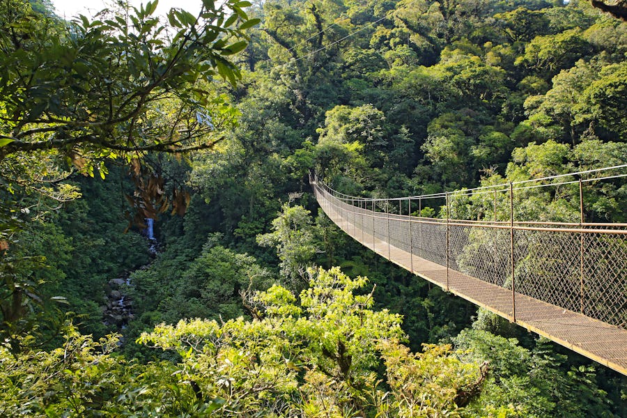 Canopy Tree Trek - Hängebrücken - in Boquete, Panama – © ©Daniel Lamborn - stock.adobe.com