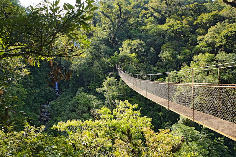 Canopy Tree Trek - Hängebrücken - in Boquete, Panama - ©©Daniel Lamborn - stock.adobe.com
