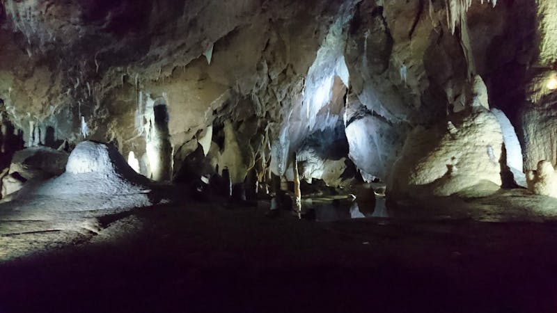Bootsfahrt in der Punkva-Höhle - ©Stefan Jahnke