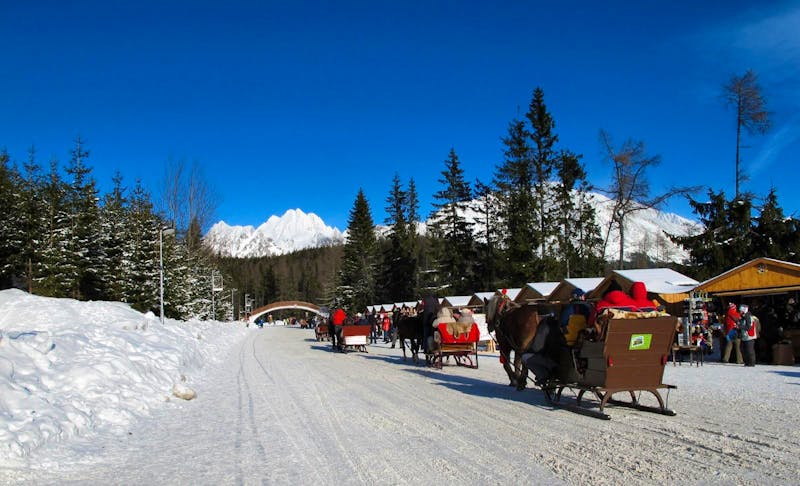 Schlittenfahrt in Strbske Pleso - ©Eberhardt TRAVEL GmbH