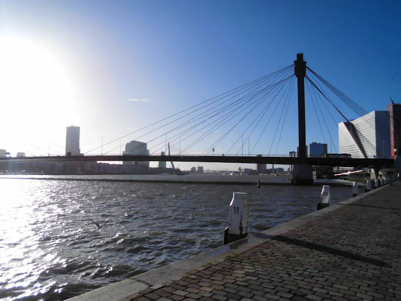 Rotterdam - die Willemsbrücke - &copy;Eberhardt TRAVEL GmbH
