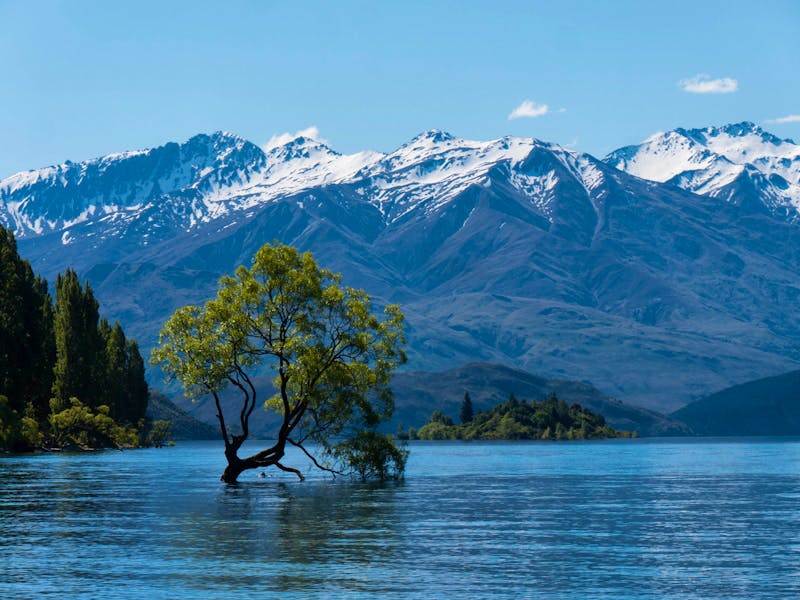 Wanaka Tree, Lake Wanaka - ©Anna Stiebing - Eberhardt TRAVEL