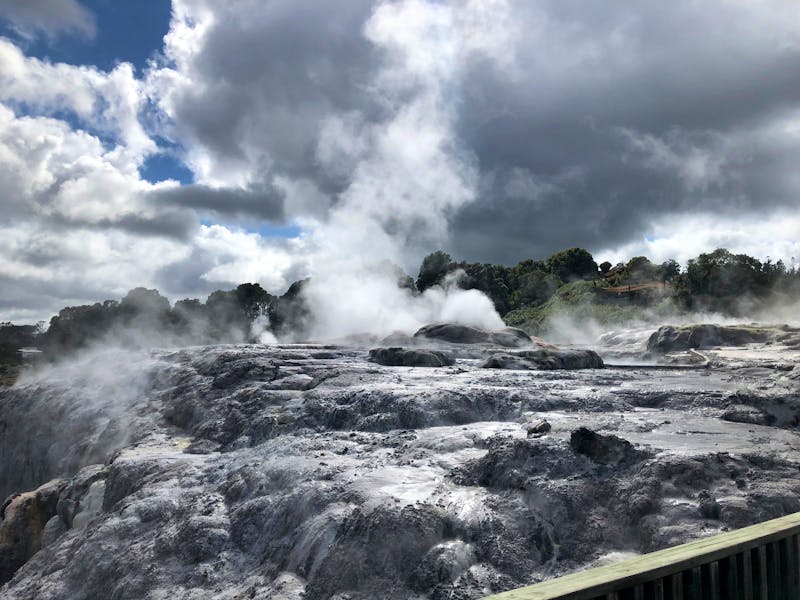 Te Puia-Thermalpark - &copy;Sabine Letzybyll - Eberhardt TRAVEL
