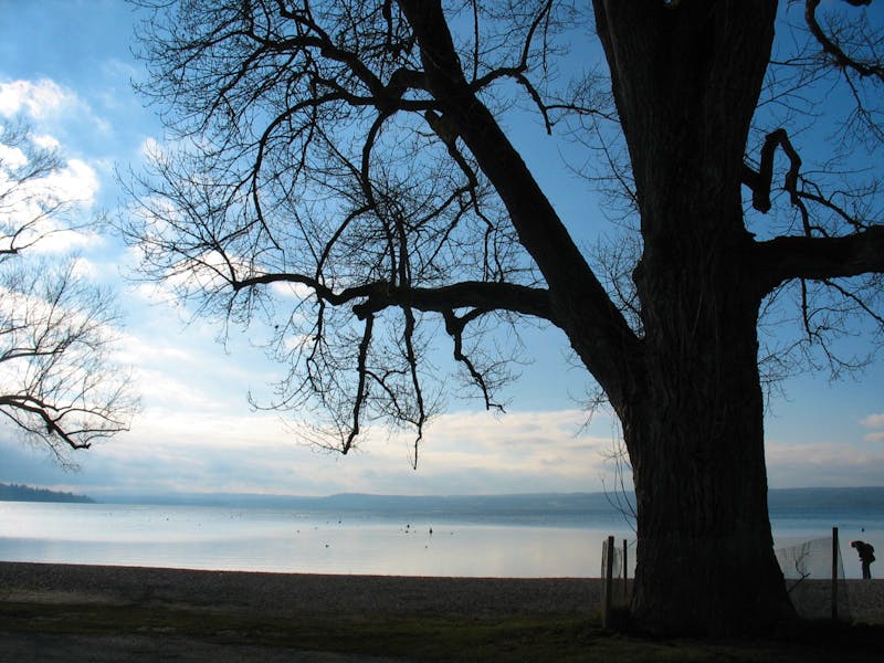 Ammersee - ©Ina Lakermann