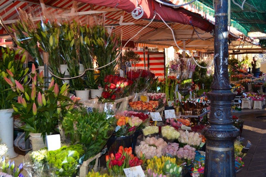 Blumenmarkt in Nizza – © Maxi Goldbach