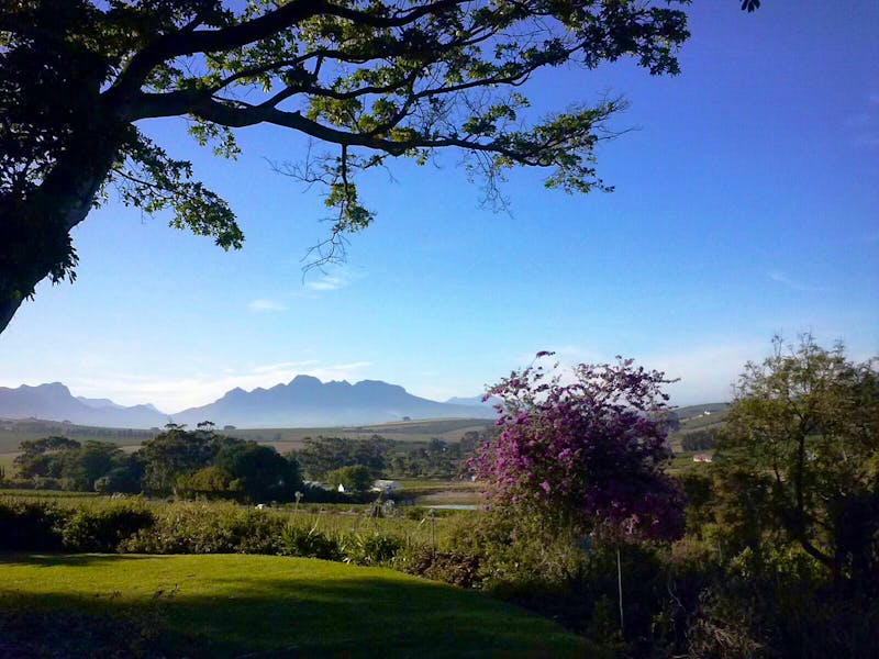 Devon Valley - Weinregion Stellenbosch - ©Annett Müller