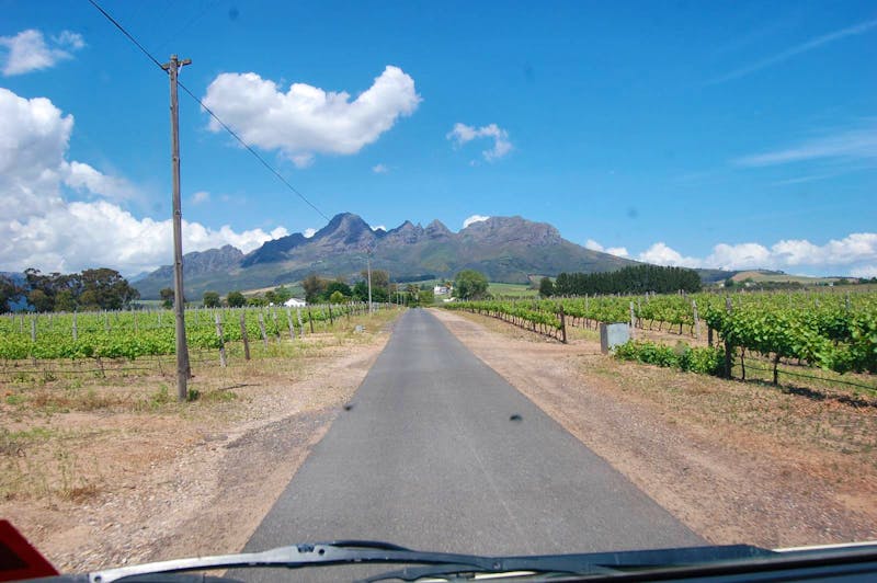 Weinregion um Stellenbosch: Blick auf die Helderberge - ©Gunter Looß