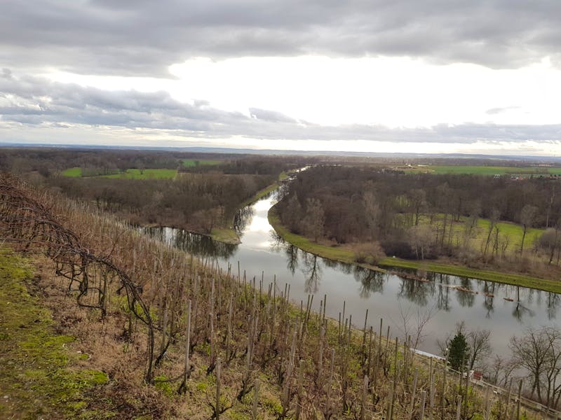Zusammenfluss von Elbe und Moldau bei Melnik - ©Madlen Häschel