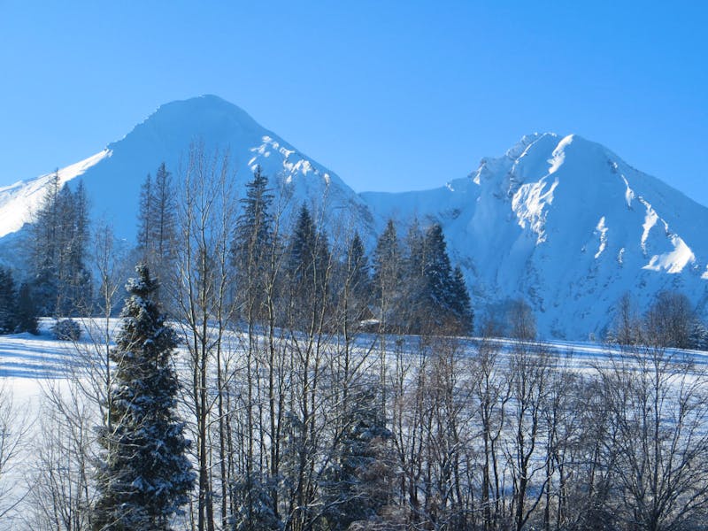 Weiße Tatra - ©Dr. Jürgen Schmeißer
