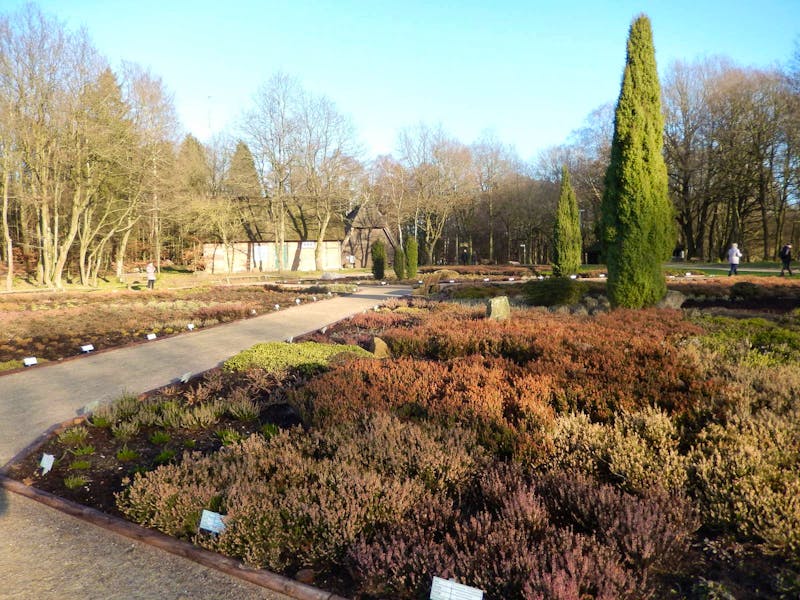 Heidegarten Schneverdingen - ©Madlen Häschel