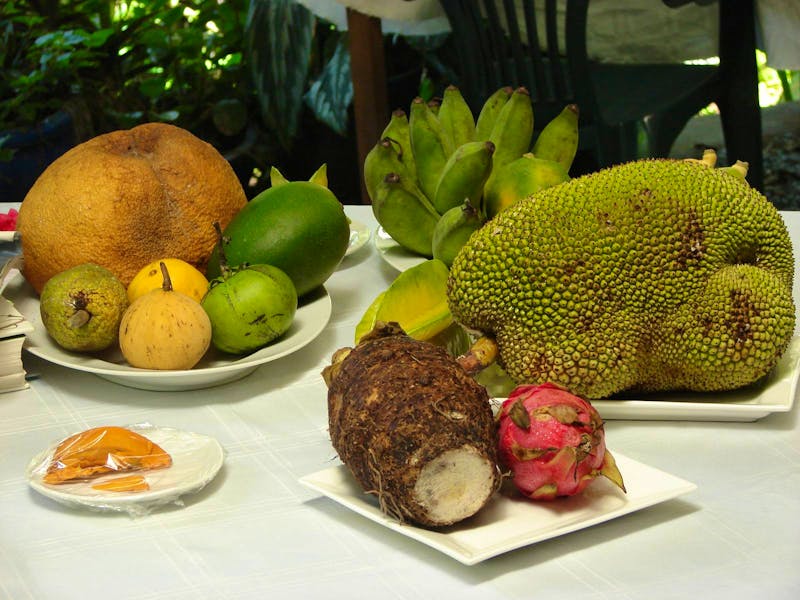 Mittagessen im Teahouse im Daintree-Nationalpark - ©Anett Scheffler - Eberhardt TRAVEL