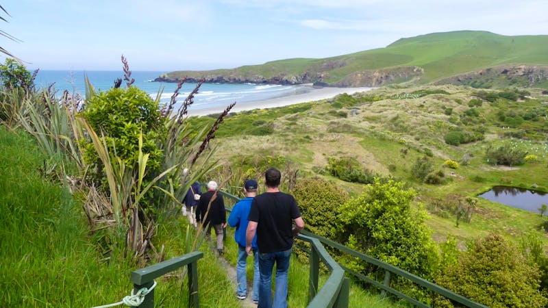 Otago-Halbinsel, Ausflug zur Gelbaugenpinguin-Brutkolonie - ©Frank Nimschowski - Eberhardt TRAVEL