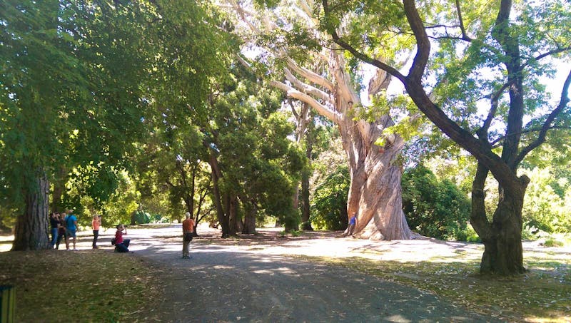 Botanischer Garten in Christchurch - &copy;Manuela Kreuz - Eberhardt TRAVEL