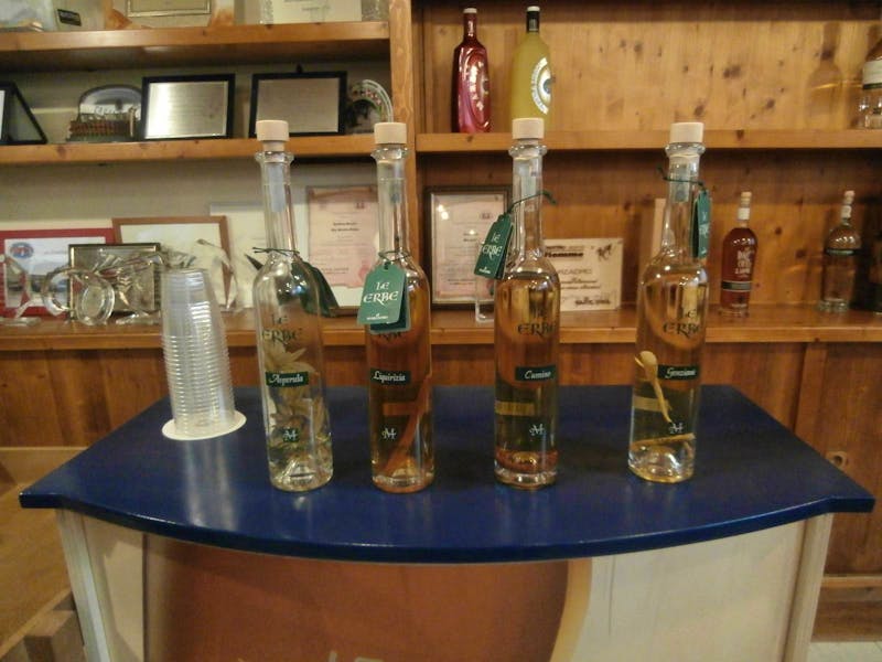 Besuch in der Grappa Distilleria Marzadro - ©Ingrid Langer