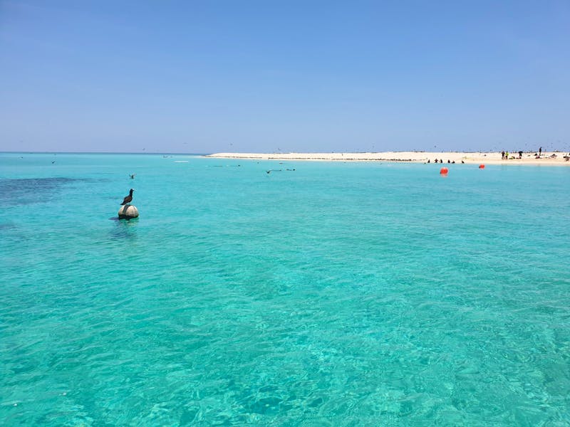 Katamaran-Tour durch das Great Barrier Reef - &copy;Benjamin Rodriguez Manzanares