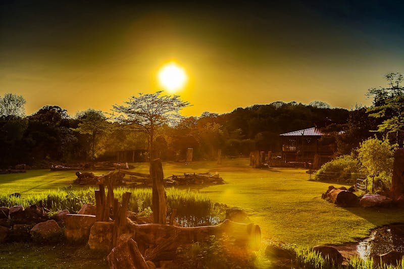 Zoo Leipzig - Kiwara-Savanne - Sonnenuntergang - ©Zoo Leipzig GmbH