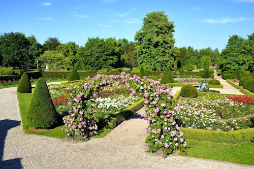 Britzer Garten Berlin - Rosenblüte &ndash; &copy; Holger Koppatsch - Grün Berlin GmbH