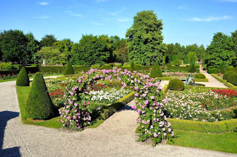 Britzer Garten Berlin - Rosenblüte - ©Holger Koppatsch - Grün Berlin GmbH
