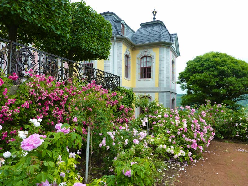 Dornburger Schlösser - im Rosarium - ©Eberhardt TRAVEL GmbH