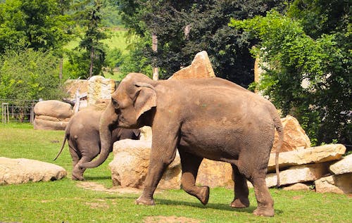 Prager Zoo &ndash; &copy; Tiia Monto - Wikimedia